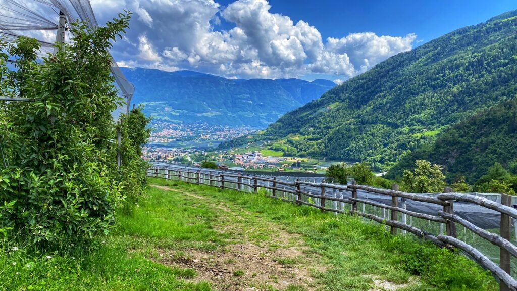 Blickrichtung Meran